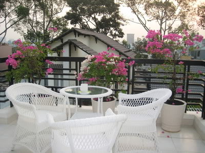 Giàn hoa giấy dịu êm